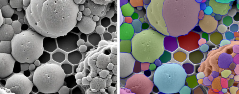 Segment AnythingモデルSAMの材料科学分野での活用 材料評価のための3次元画像解析